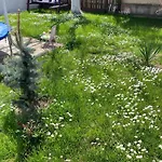 Casa Therapi Guest house