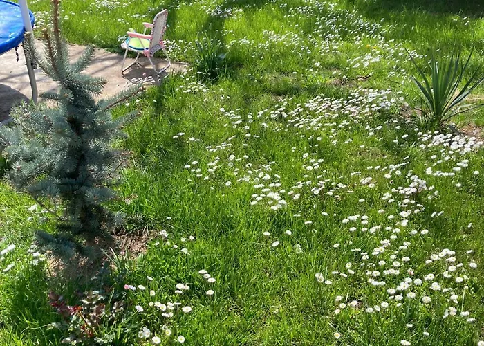 Casa Therapi Гостевой дом