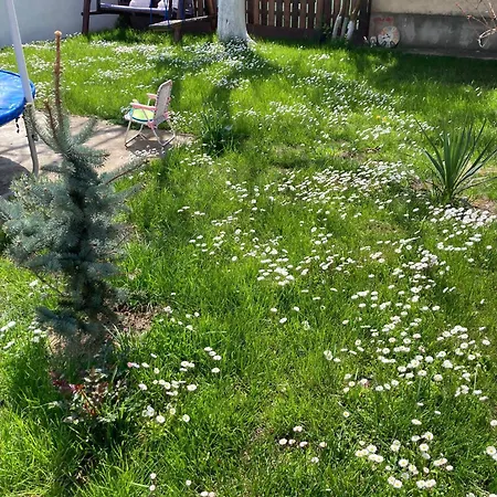 Casa Therapi 게스트하우스